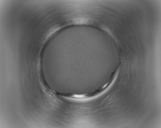X0000053140583200507251818
