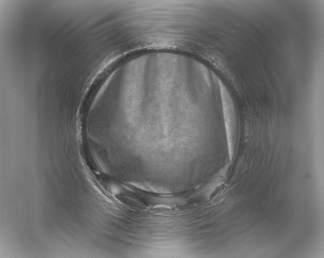 X0000053140584200507251818