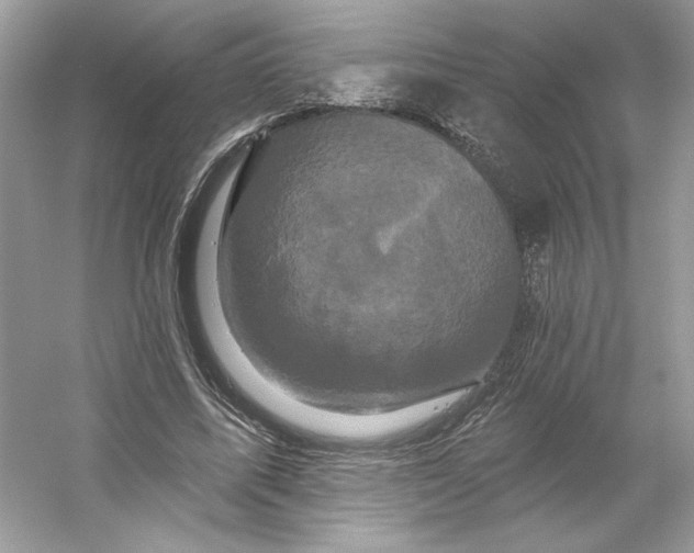 X0000053140587200507251817