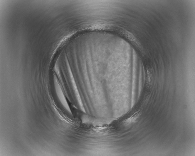 X0000053140588200507251817