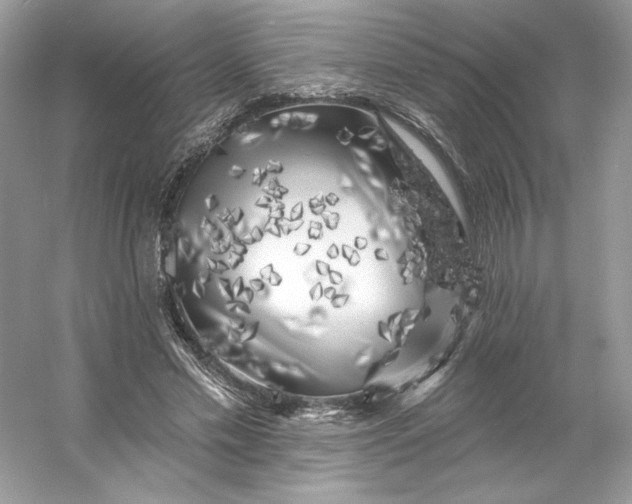 X0000053140589200507251817