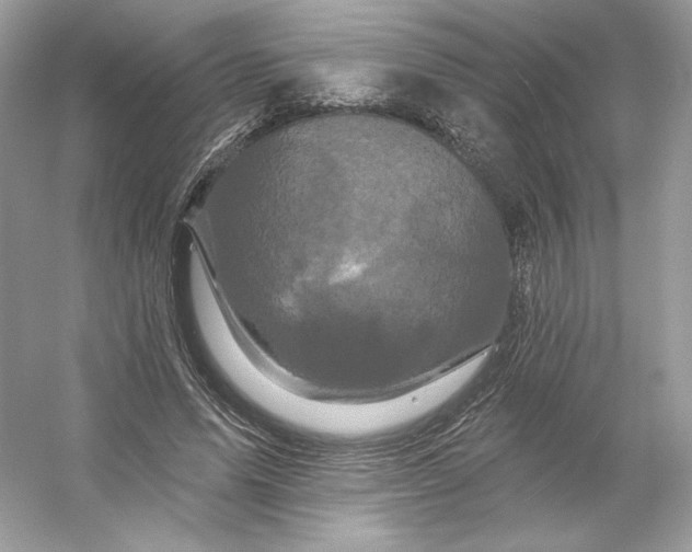 X0000053140591200507251817