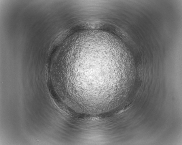X0000053140594200507251817