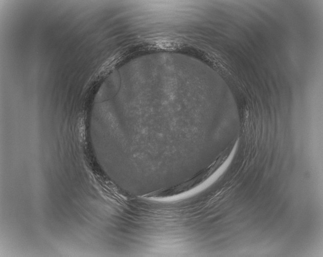 X0000053140595200507251817