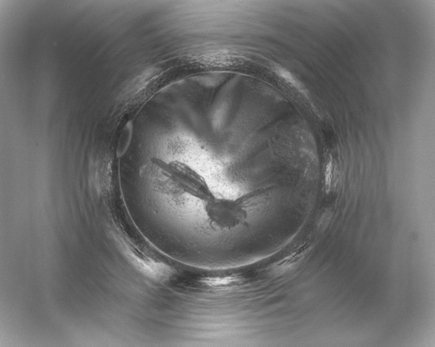X0000053140596200507251817