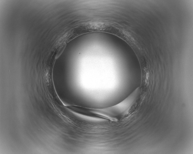 X0000053140597200507251817
