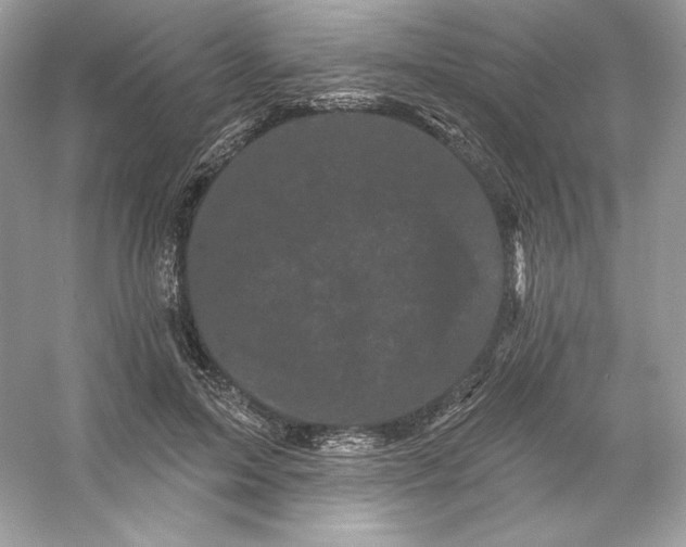 X0000053140599200507251817