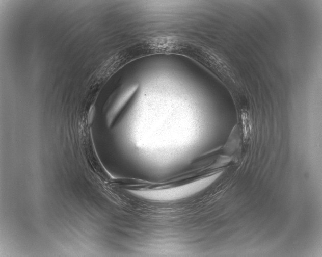 X0000053140601200507251817