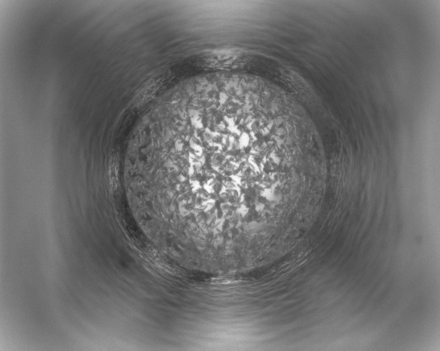 X0000053140602200507251817