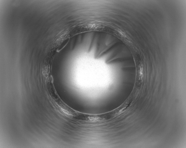 X0000053140605200507251817