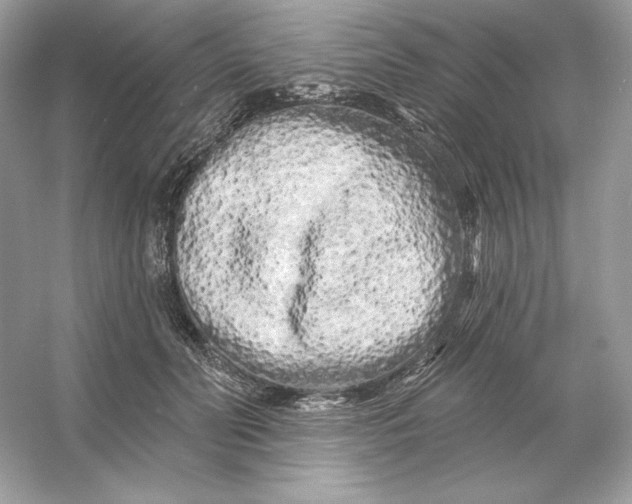 X0000053140606200507251817