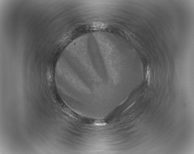 X0000053140608200507251817
