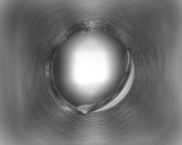 X0000053140611200507251817