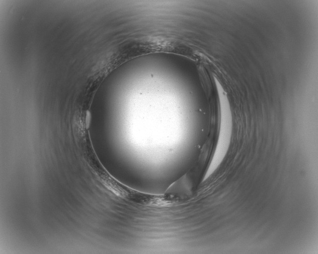 X0000053140613200507251817