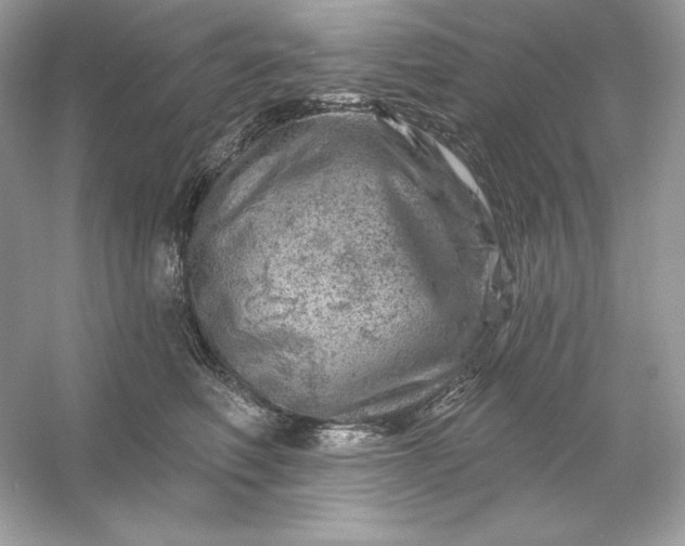 X0000053140614200507251817