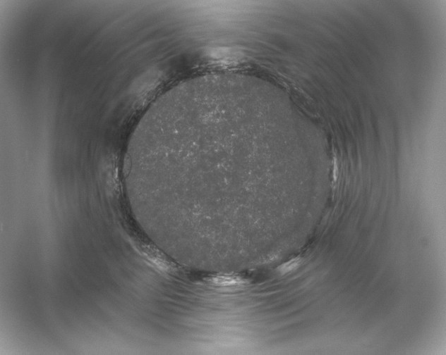 X0000053140615200507251817