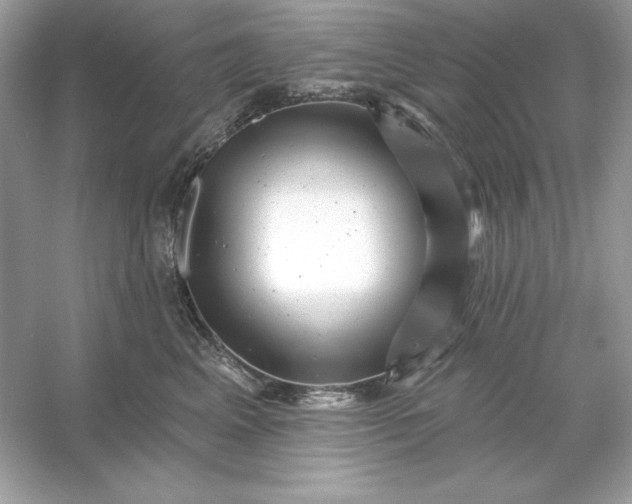 X0000053140617200507251817
