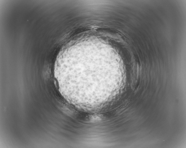 X0000053140618200507251817