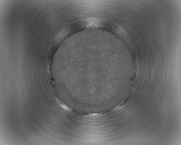 X0000053140619200507251817