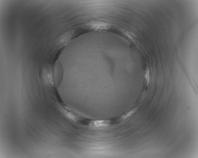 X0000053140622200507251817
