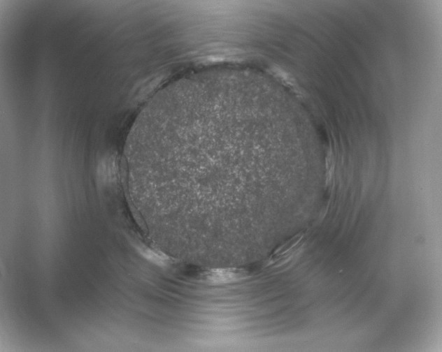 X0000053140623200507251817