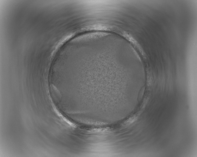 X0000053140625200507251816