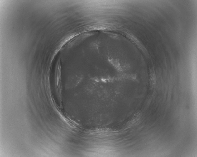 X0000053140626200507251816