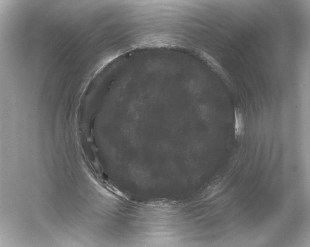 X0000053140627200507251816