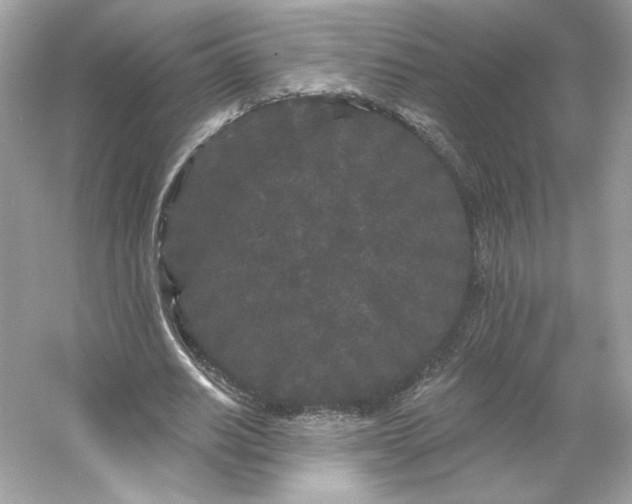 X0000053140630200507251816