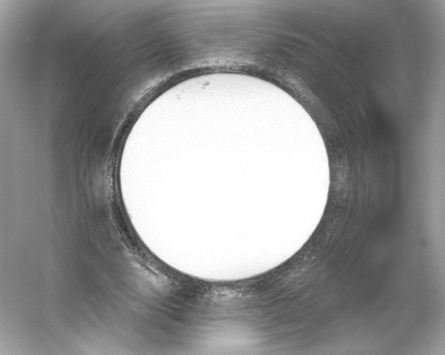 X0000053140632200507251816