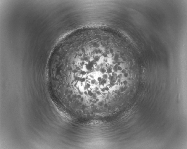 X0000053140636200507251816
