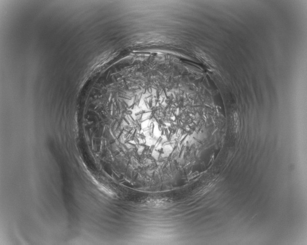 X0000053140638200507251816