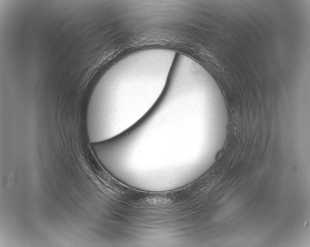X0000053140644200507251816