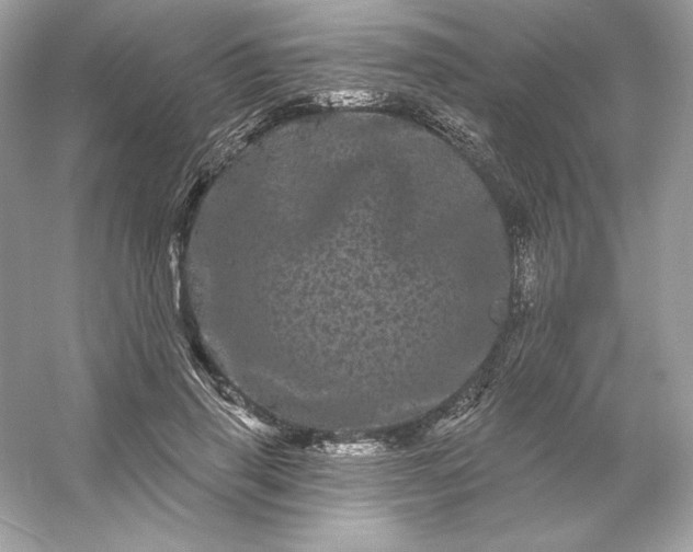 X0000053140645200507251816