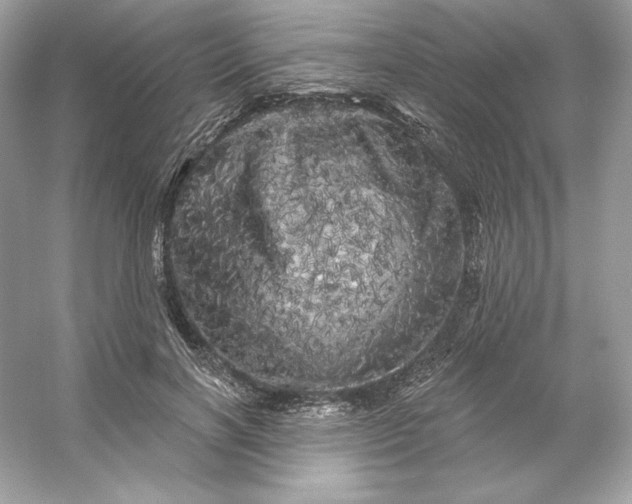 X0000053140646200507251816