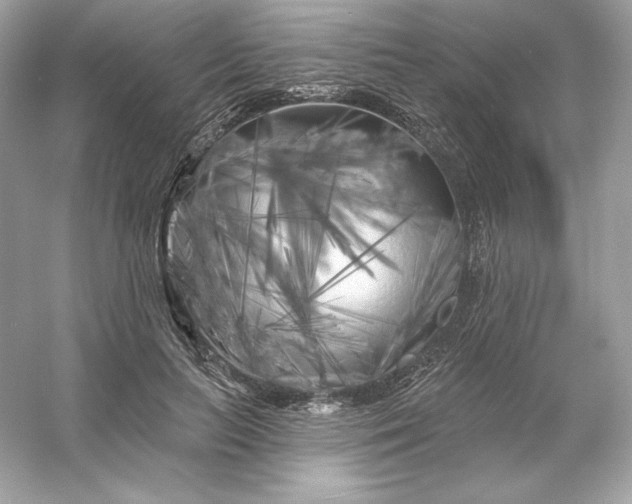 X0000053140647200507251816