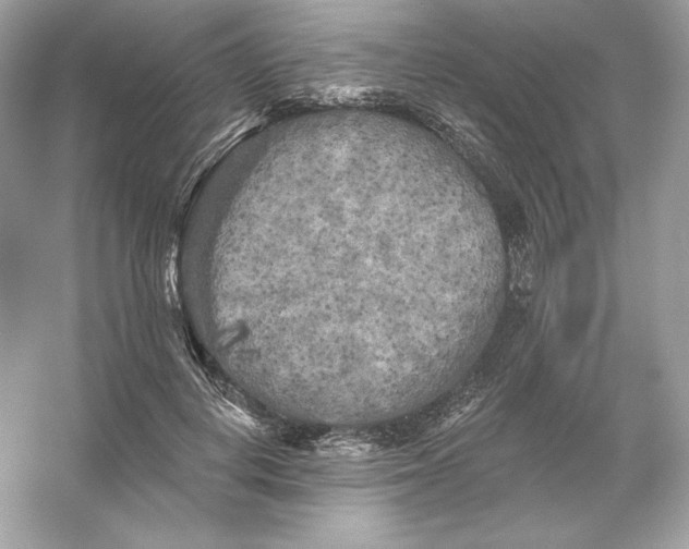 X0000053140648200507251816