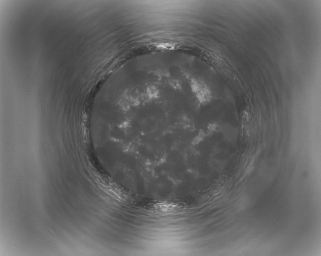 X0000053140650200507251816