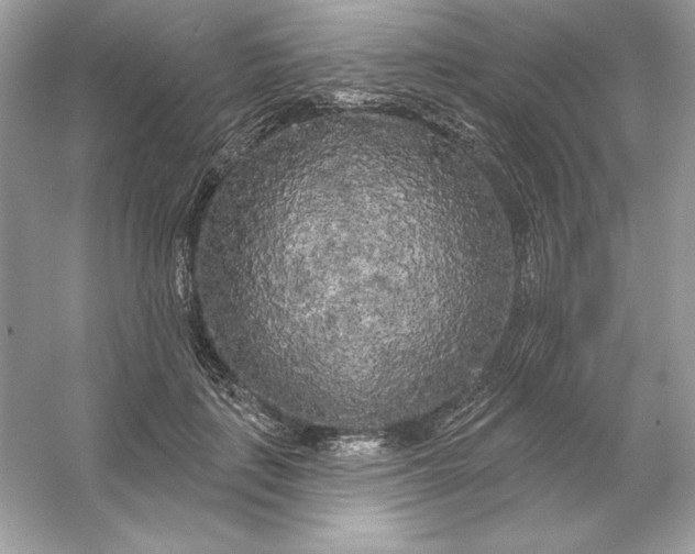 X0000053140651200507251816