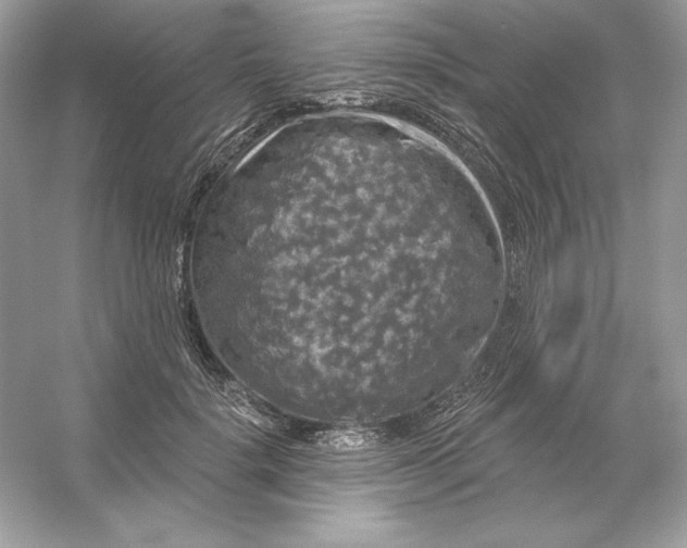 X0000053140652200507251816