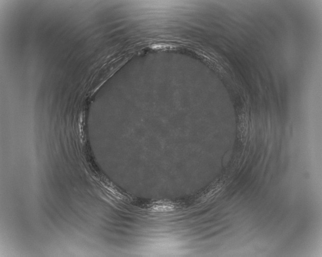 X0000053140653200507251817
