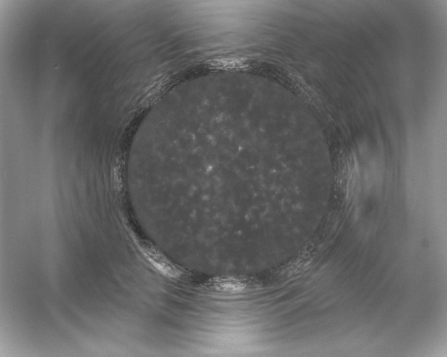 X0000053140658200507251817