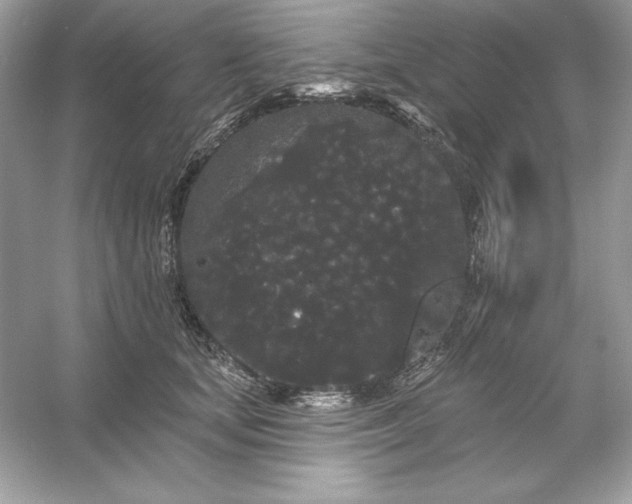 X0000053140659200507251817