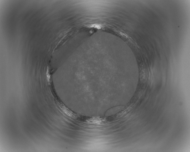 X0000053140661200507251817