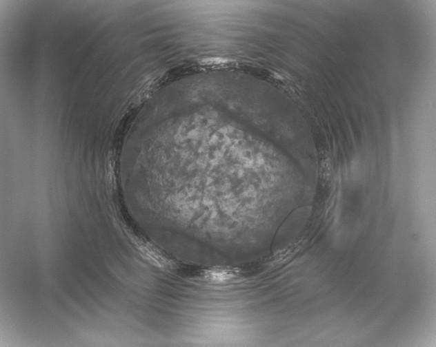 X0000053140662200507251817