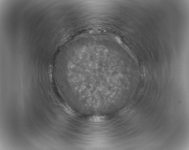 X0000053140664200507251817