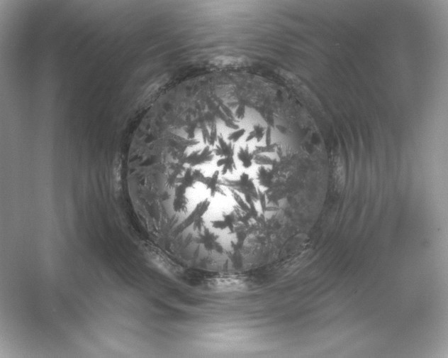 X0000053140668200507251817