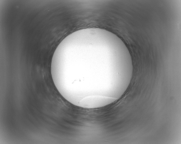 X0000053140672200507251817