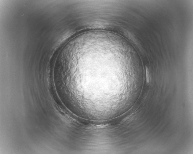 X0000053140675200507251816
