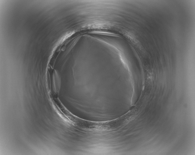 X0000053140678200507251816